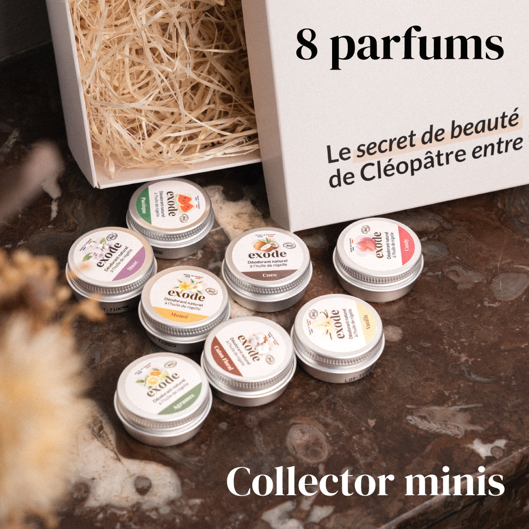 Sammler 8 Minis