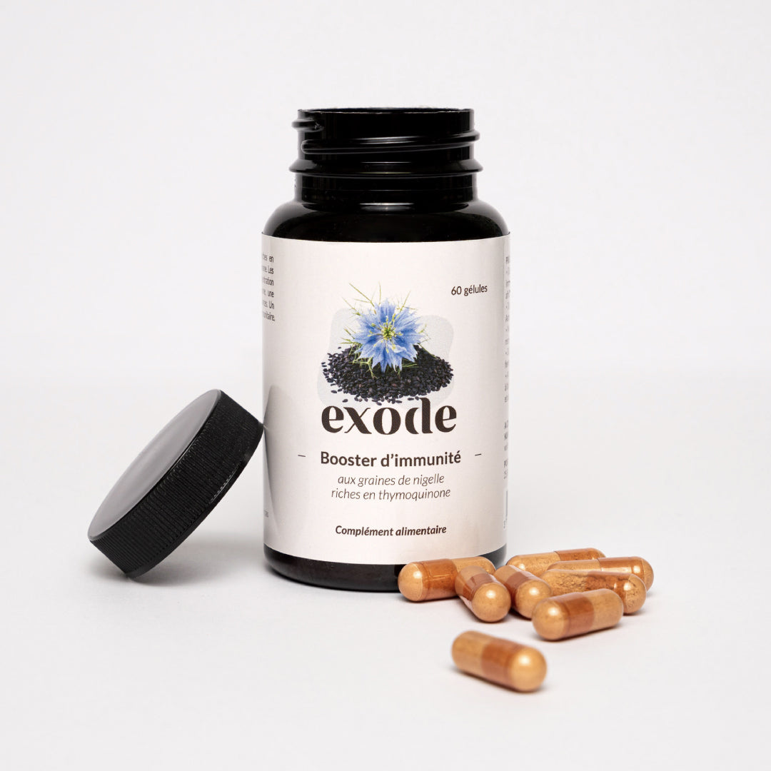 Schwarzkümmel Kapseln